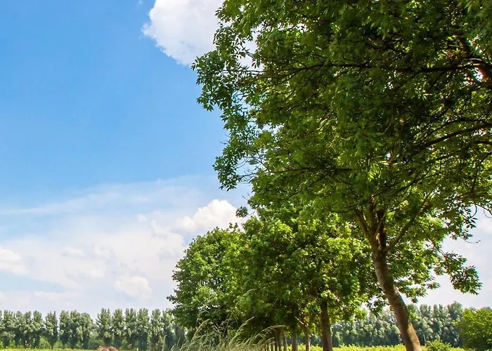 Holiday home Eyveld Beesel